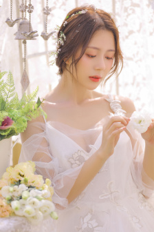 我的老婆是明星